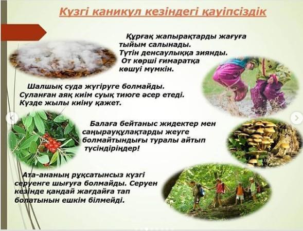 Күзгі демалыс кезіндегі қауіпсіздік